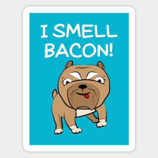 Bibby The Pitbull Smells Bacon Magnet